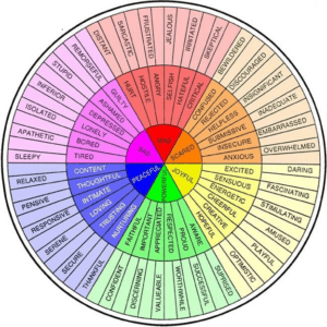 Feeling Wheel - Therapy Charlotte LLC